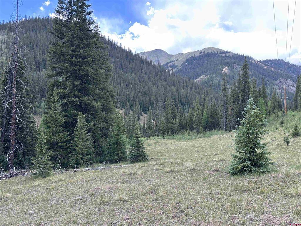 Lot 10 Overland Estates, Cr 110 Silverton CO 81433