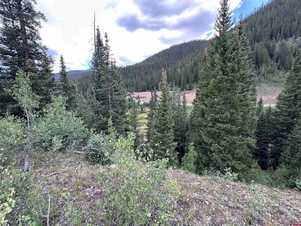Lot 10 Overland Estates, Cr 110 Silverton CO 81433