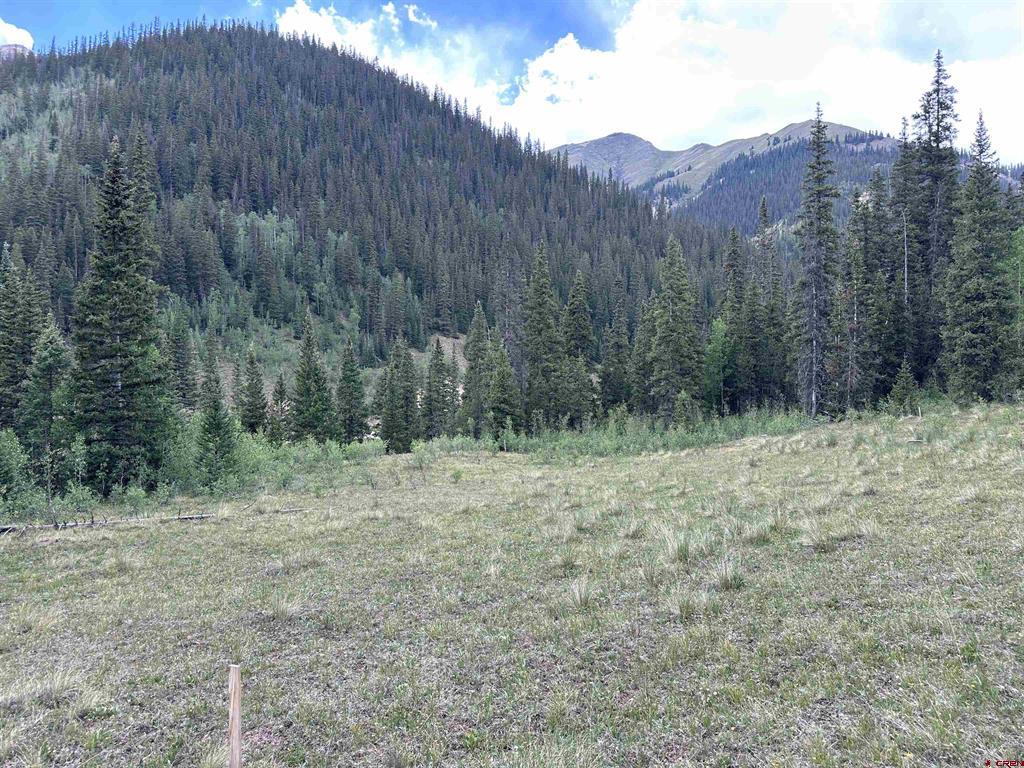 Lot 10 Overland Estates, Cr 110 Silverton CO 81433
