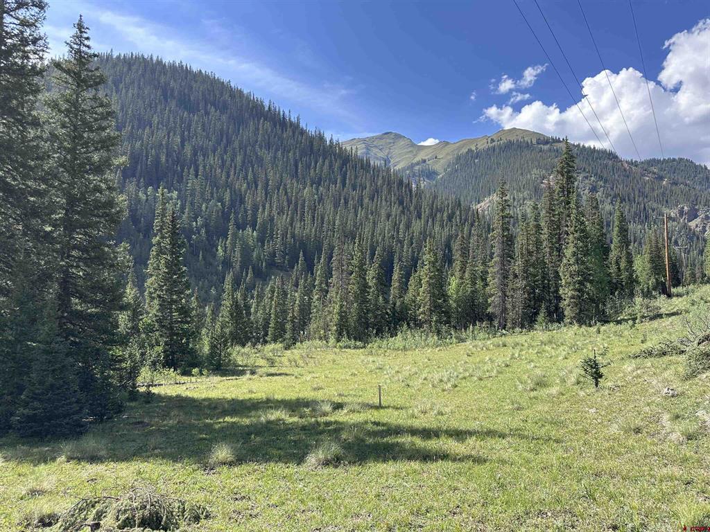 Lot 10 Overland Estates, Cr 110 Silverton CO 81433