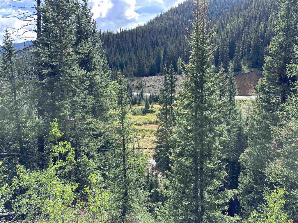 Lot 10 Overland Estates, Cr 110 Silverton CO 81433