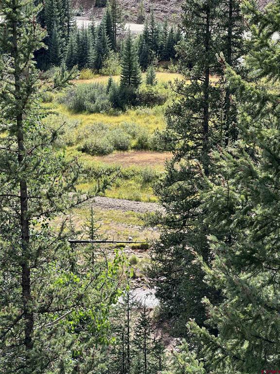 Lot 10 Overland Estates, Cr 110 Silverton CO 81433
