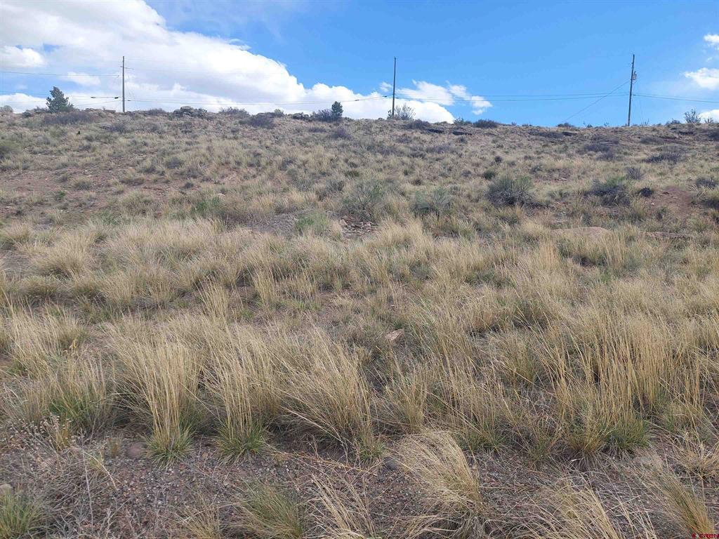 260 Chico Drive Del Norte CO 81132