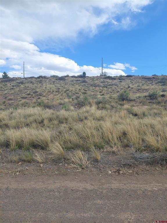 260 Chico Drive Del Norte CO 81132