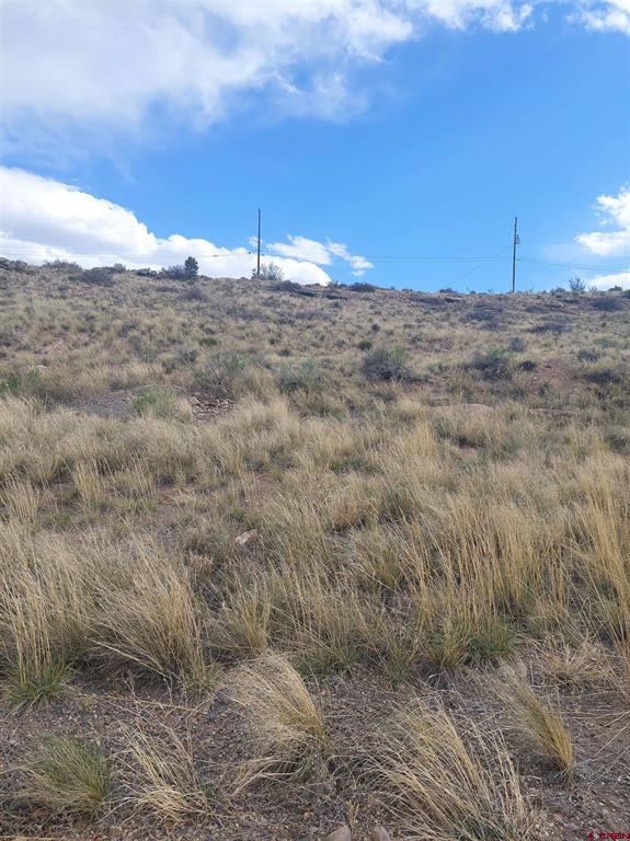 260 Chico Drive Del Norte CO 81132