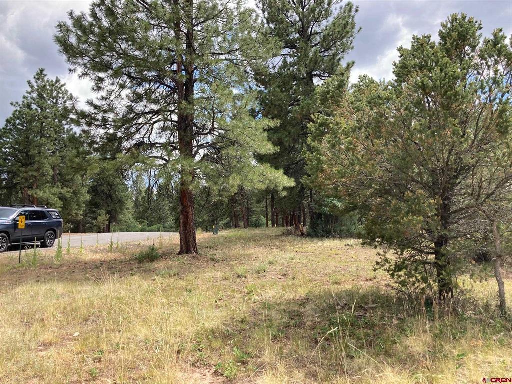 Lot 422 (TBD) South Badger Trail Ridgway CO 81432