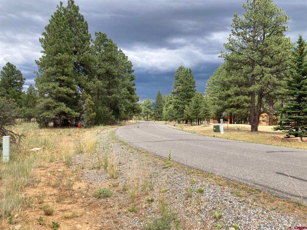 Lot 422 (TBD) South Badger Trail Ridgway CO 81432