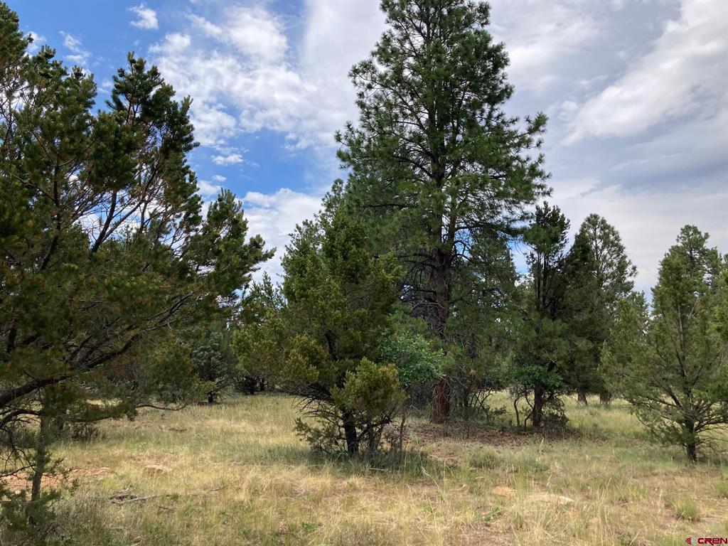 Lot 422 (TBD) South Badger Trail Ridgway CO 81432