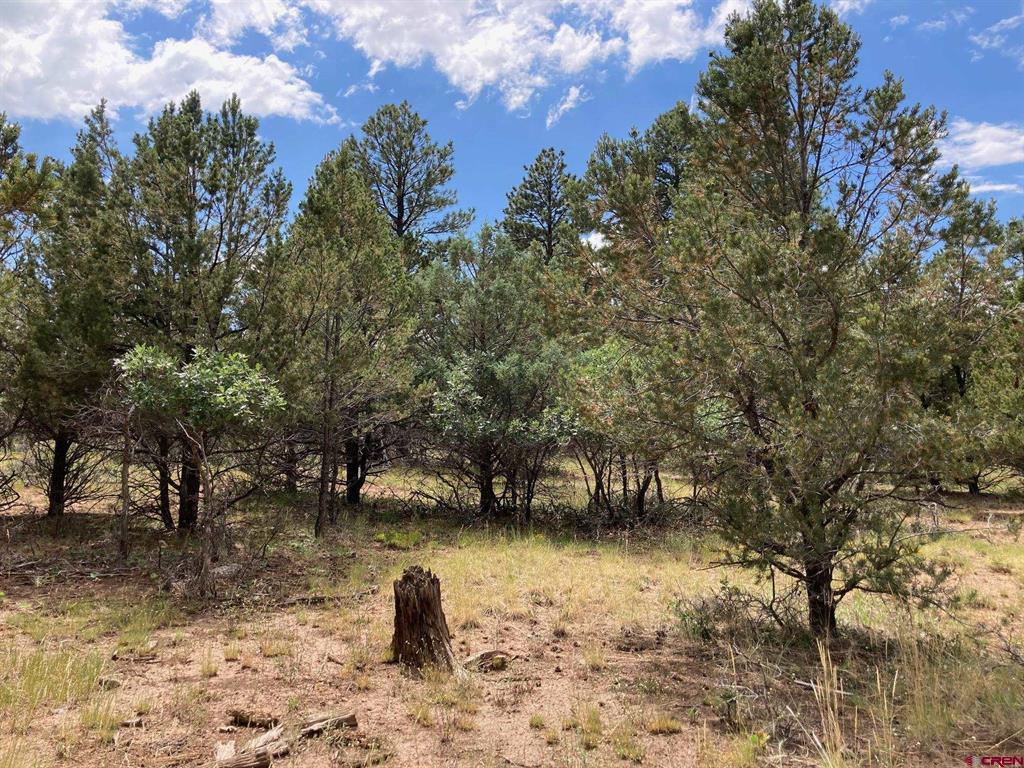 Lot 422 (TBD) South Badger Trail Ridgway CO 81432