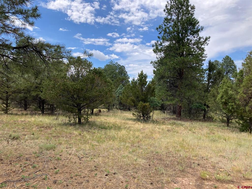 Lot 422 (TBD) South Badger Trail Ridgway CO 81432