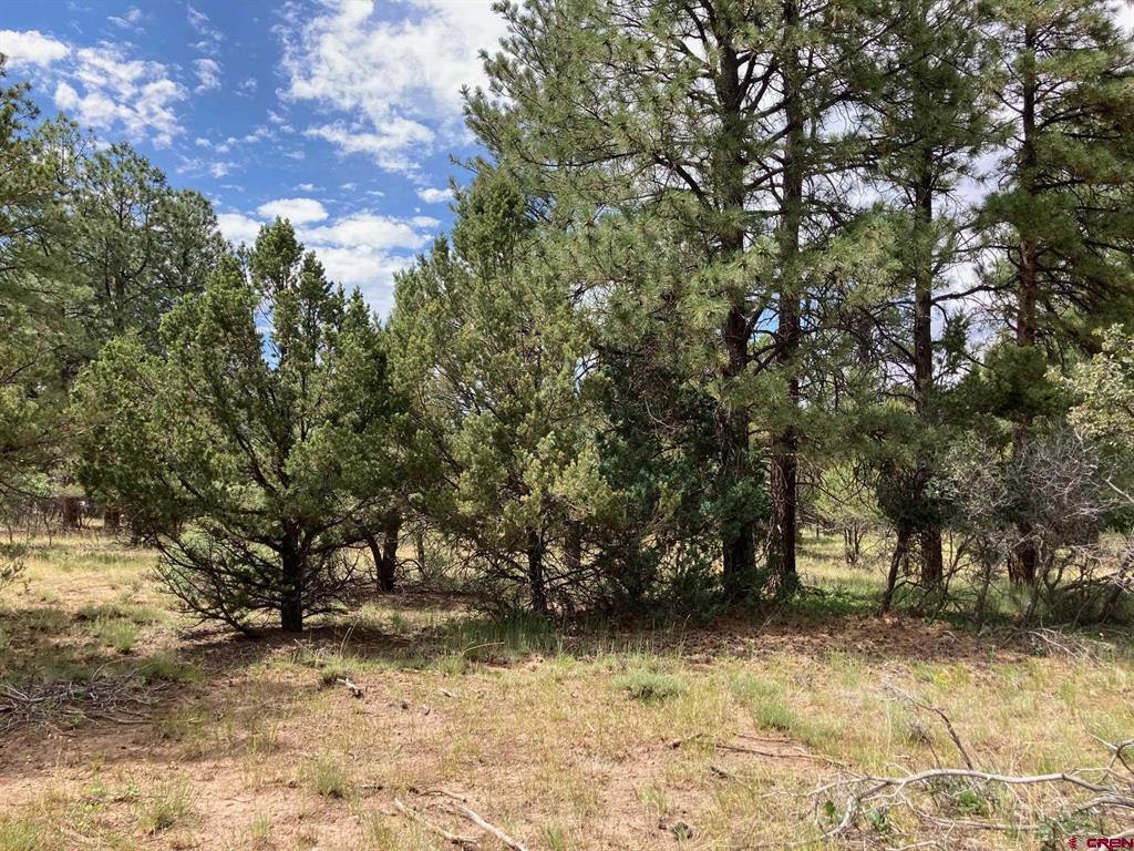 Lot 422 (TBD) South Badger Trail Ridgway CO 81432