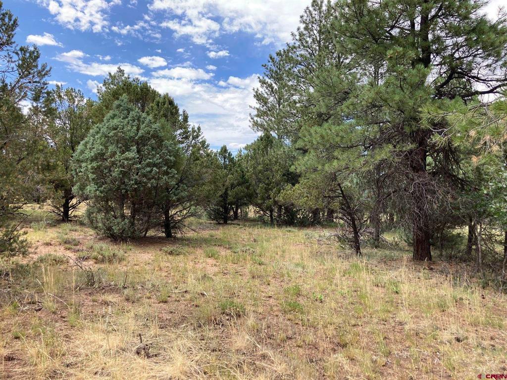 Lot 422 (TBD) South Badger Trail Ridgway CO 81432