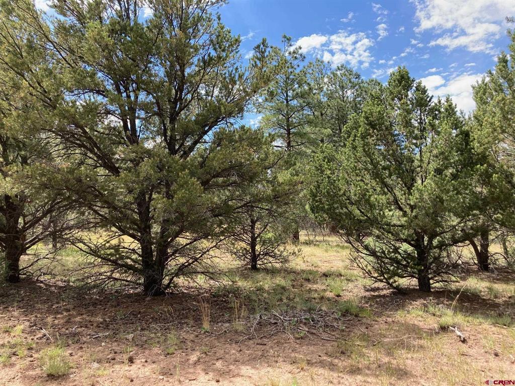 Lot 422 (TBD) South Badger Trail Ridgway CO 81432