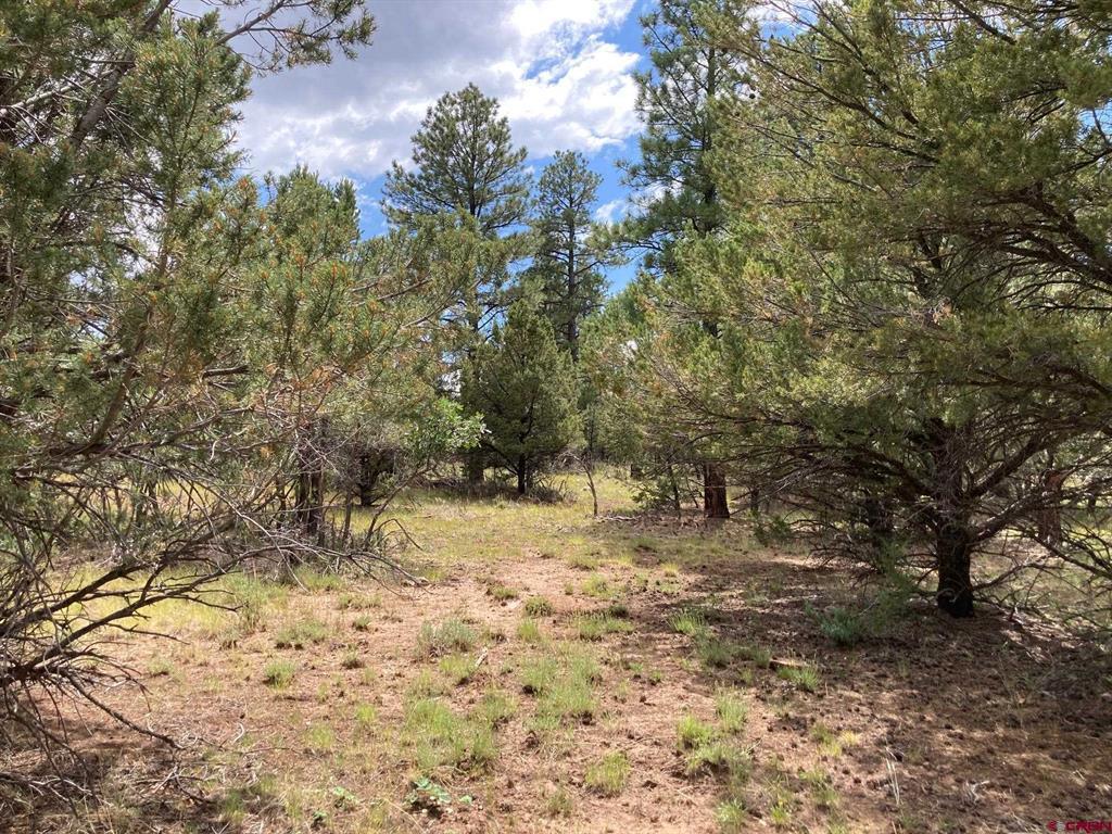 Lot 422 (TBD) South Badger Trail Ridgway CO 81432
