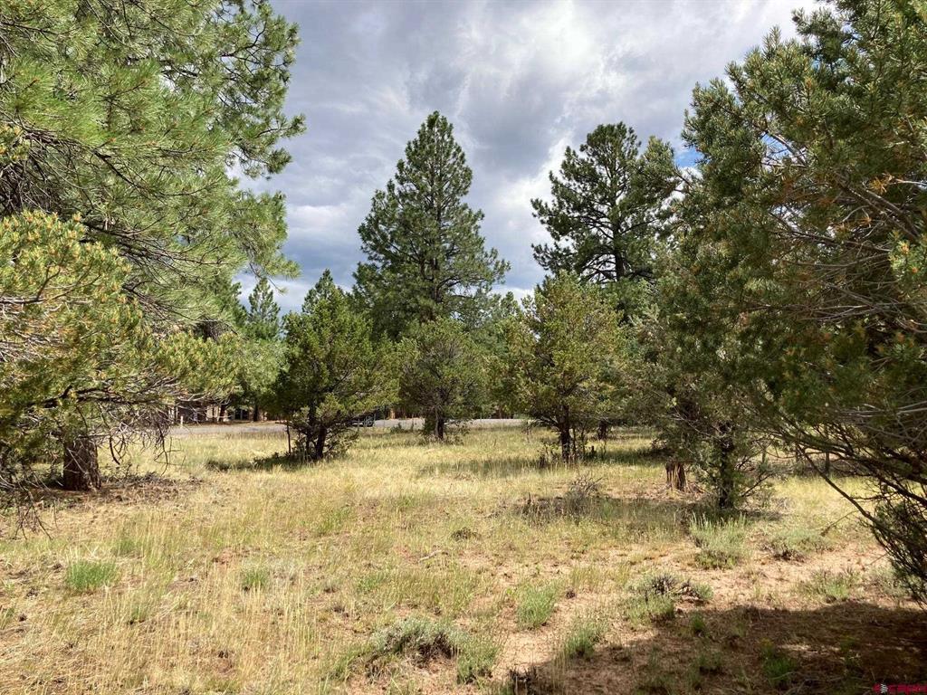 Lot 422 (TBD) South Badger Trail Ridgway CO 81432