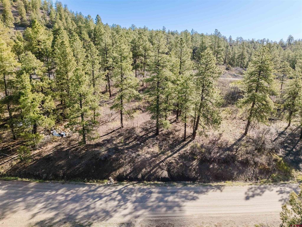 106 Granada Drive Pagosa Springs CO 81147