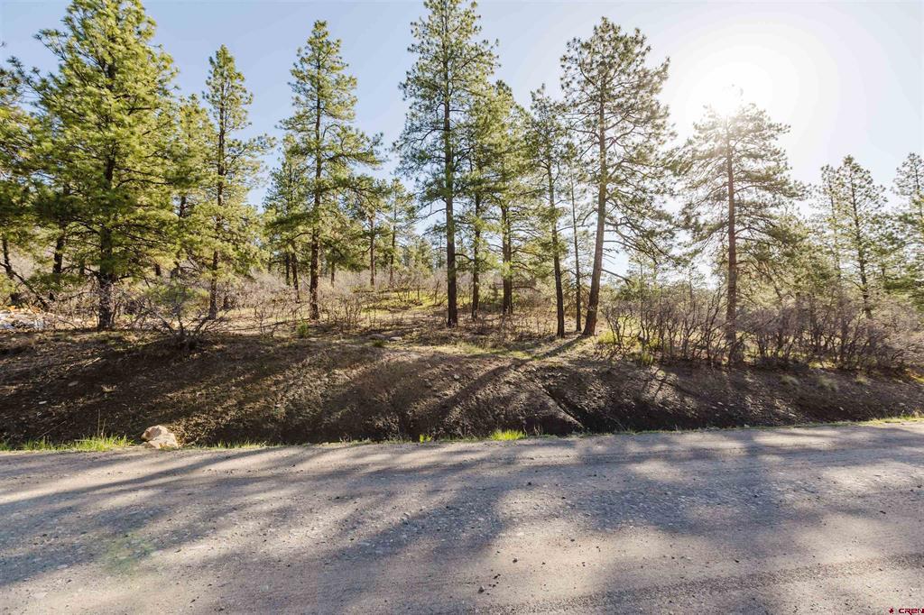 106 Granada Drive Pagosa Springs CO 81147