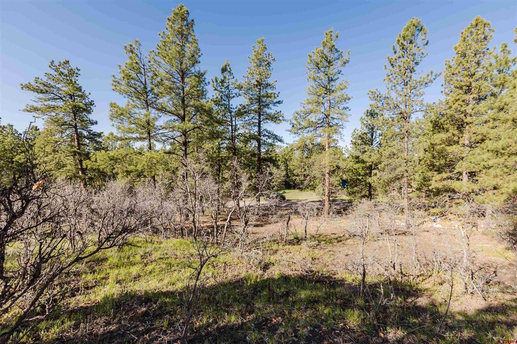 106 Granada Drive Pagosa Springs CO 81147