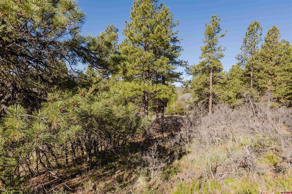 106 Granada Drive Pagosa Springs CO 81147