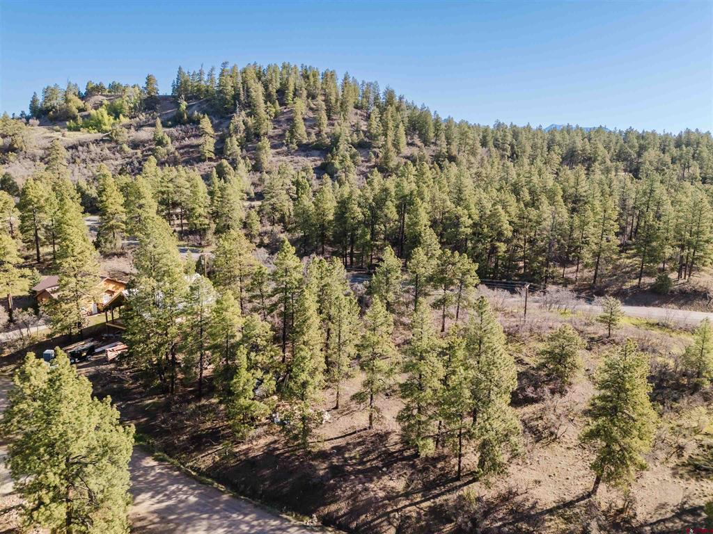 106 Granada Drive Pagosa Springs CO 81147