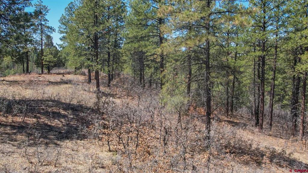 154 Engineer Point Pagosa Springs CO 81147