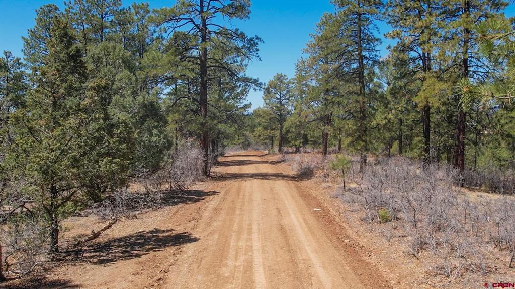 154 Engineer Point Pagosa Springs CO 81147