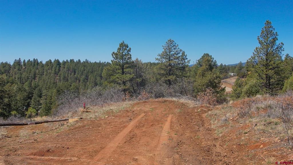 154 Engineer Point Pagosa Springs CO 81147