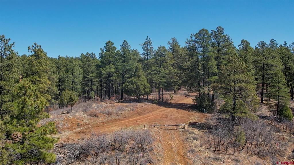 154 Engineer Point Pagosa Springs CO 81147
