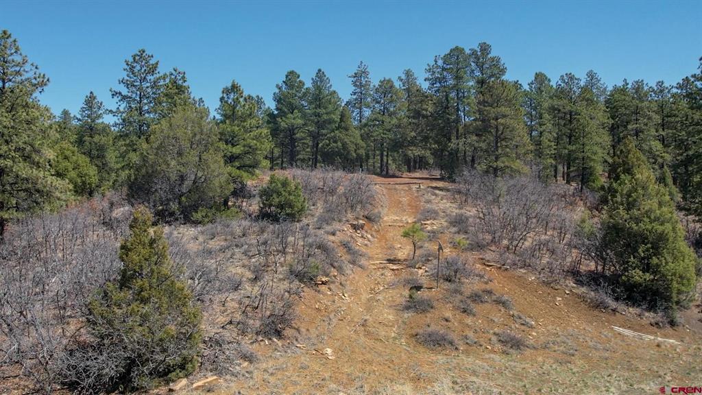 154 Engineer Point Pagosa Springs CO 81147