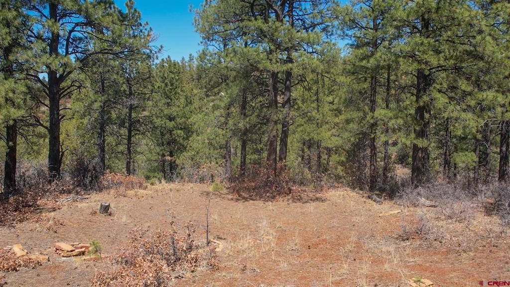 154 Engineer Point Pagosa Springs CO 81147