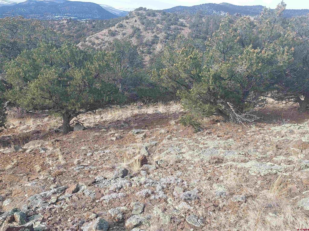 119 Cactus Road South Fork CO 81154