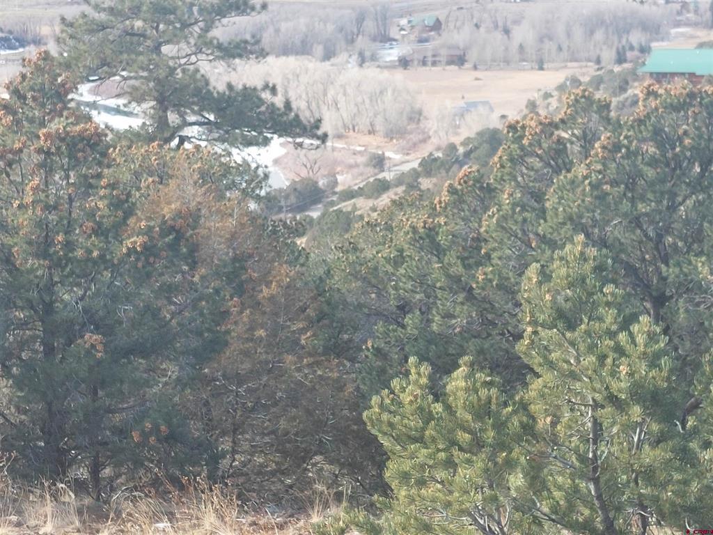 119 Cactus Road South Fork CO 81154