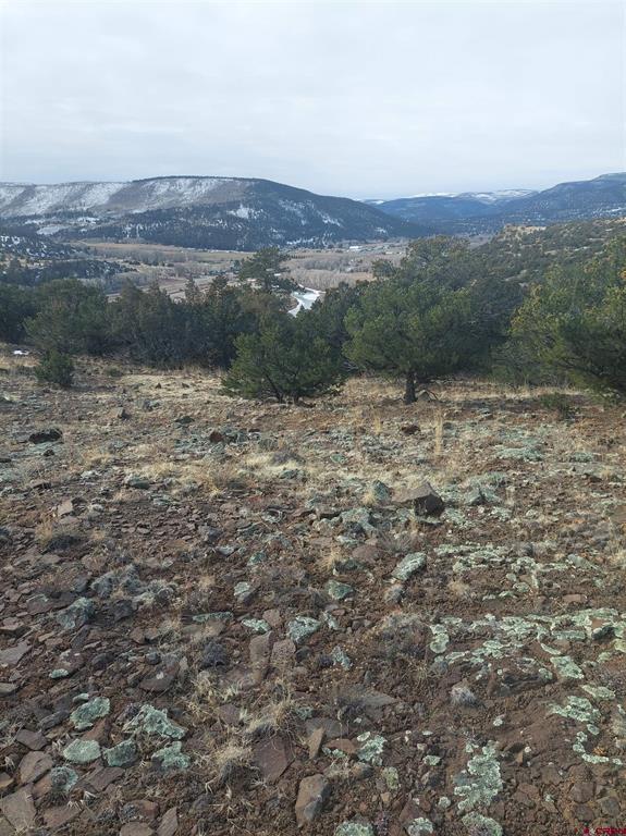 119 Cactus Road South Fork CO 81154