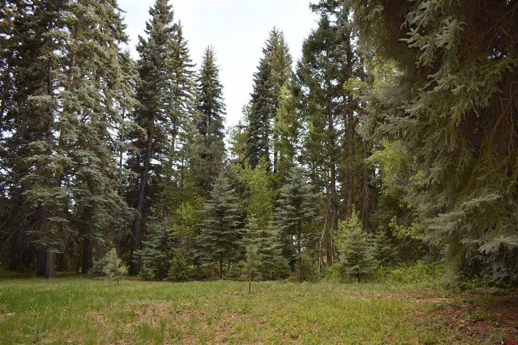 Tbd Trust Drive Vallecito Lake/bayfield CO 81122