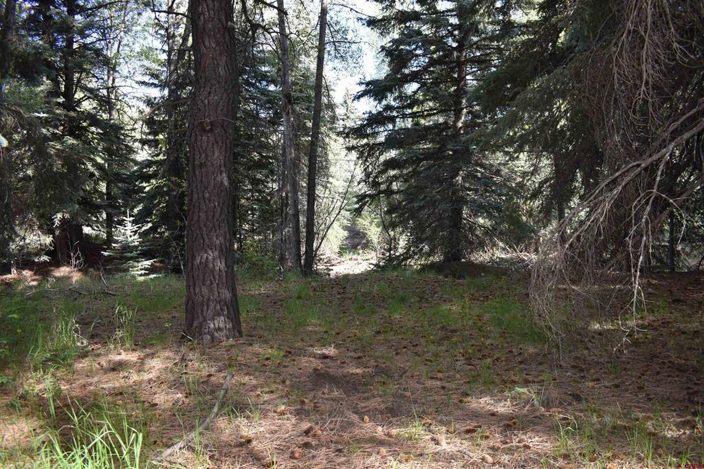 Tbd Trust Drive Vallecito Lake/bayfield CO 81122