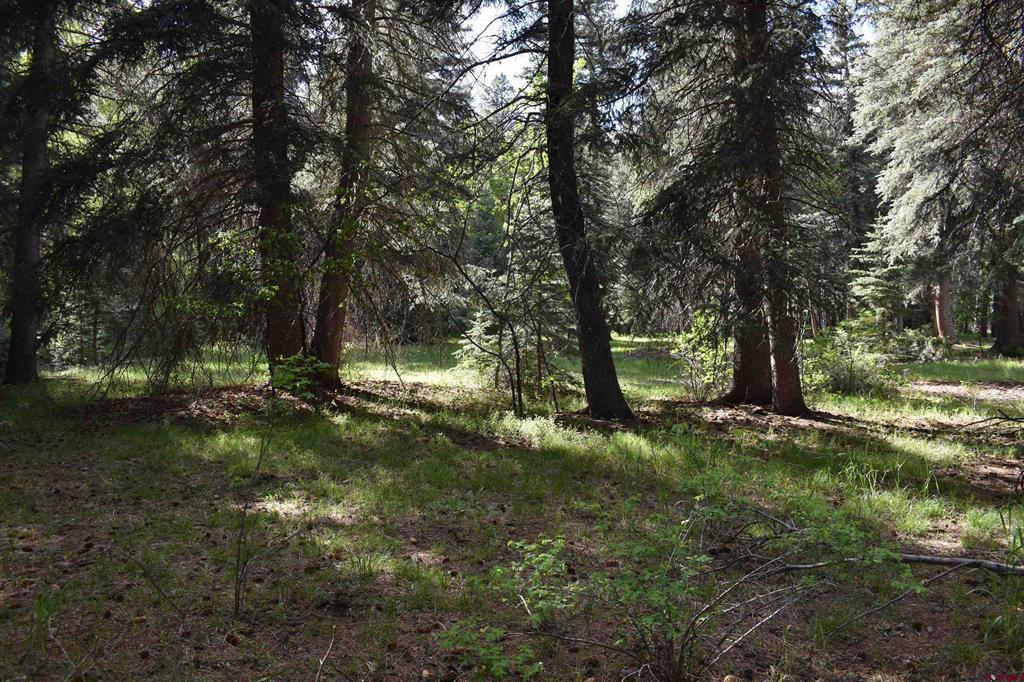 Tbd Trust Drive Vallecito Lake/bayfield CO 81122