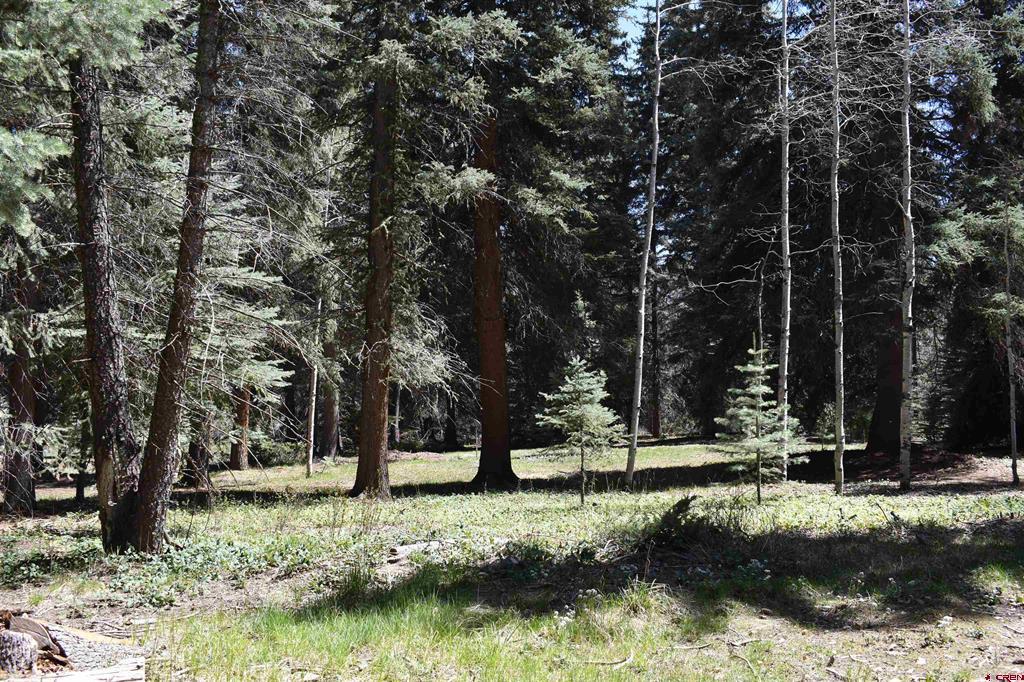 Tbd Trust Drive Vallecito Lake/bayfield CO 81122