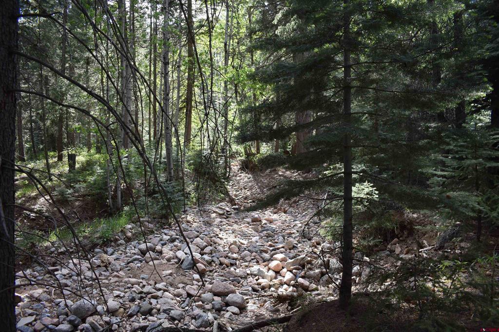 Tbd Trust Drive Vallecito Lake/bayfield CO 81122