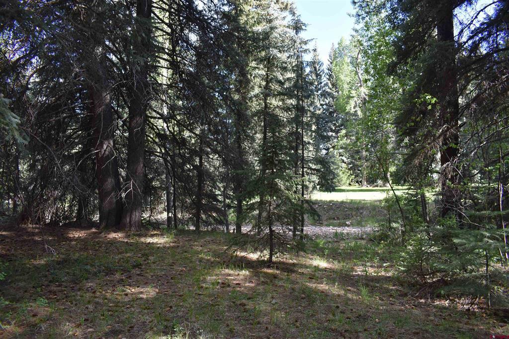 Tbd Trust Drive Vallecito Lake/bayfield CO 81122