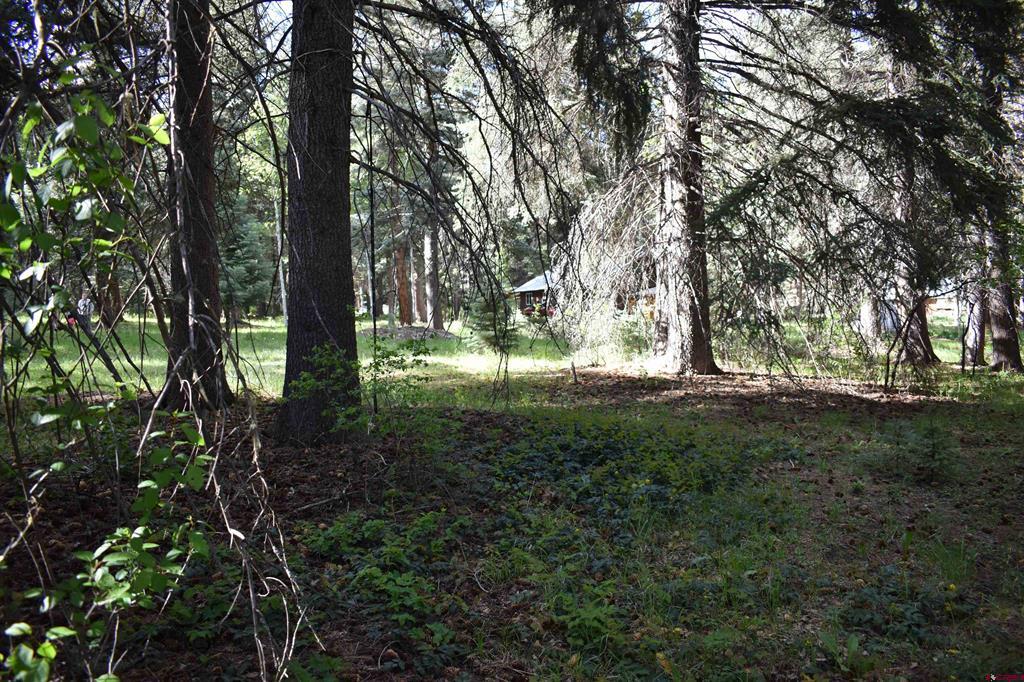 Tbd Trust Drive Vallecito Lake/bayfield CO 81122