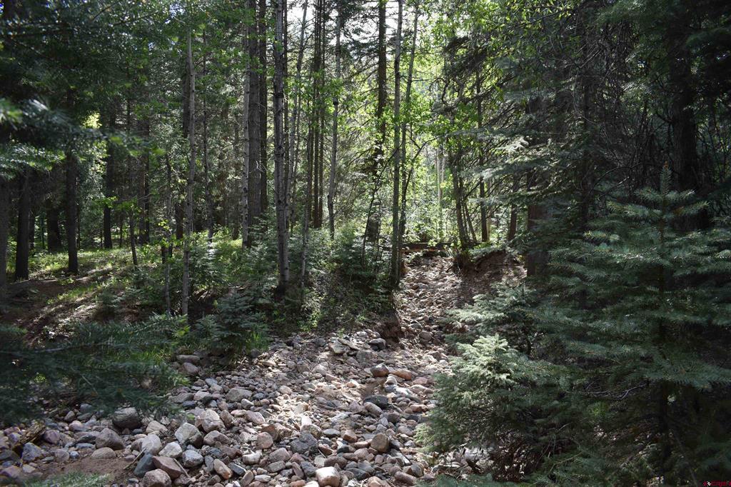 Tbd Trust Drive Vallecito Lake/bayfield CO 81122