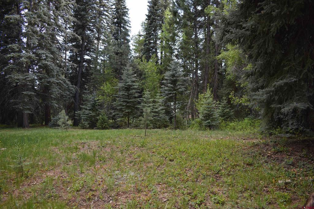 Tbd Trust Drive Vallecito Lake/bayfield CO 81122