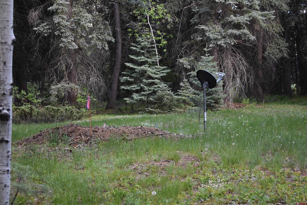 Tbd Trust Drive Vallecito Lake/bayfield CO 81122