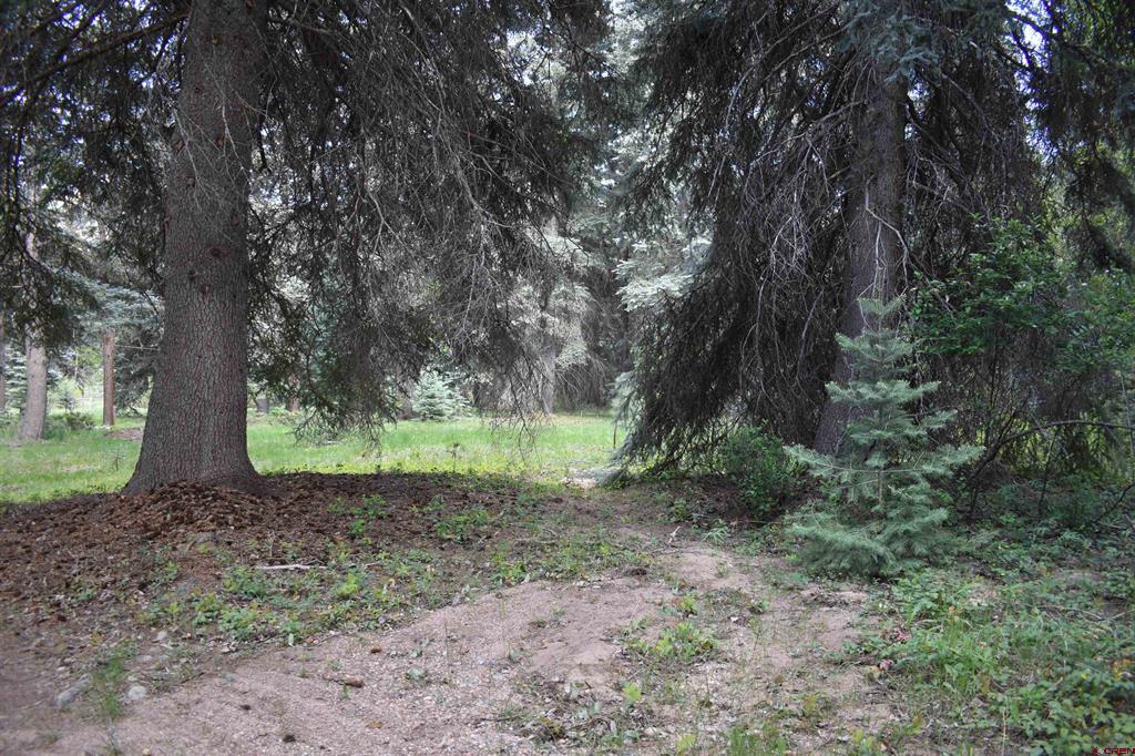 Tbd Trust Drive Vallecito Lake/bayfield CO 81122
