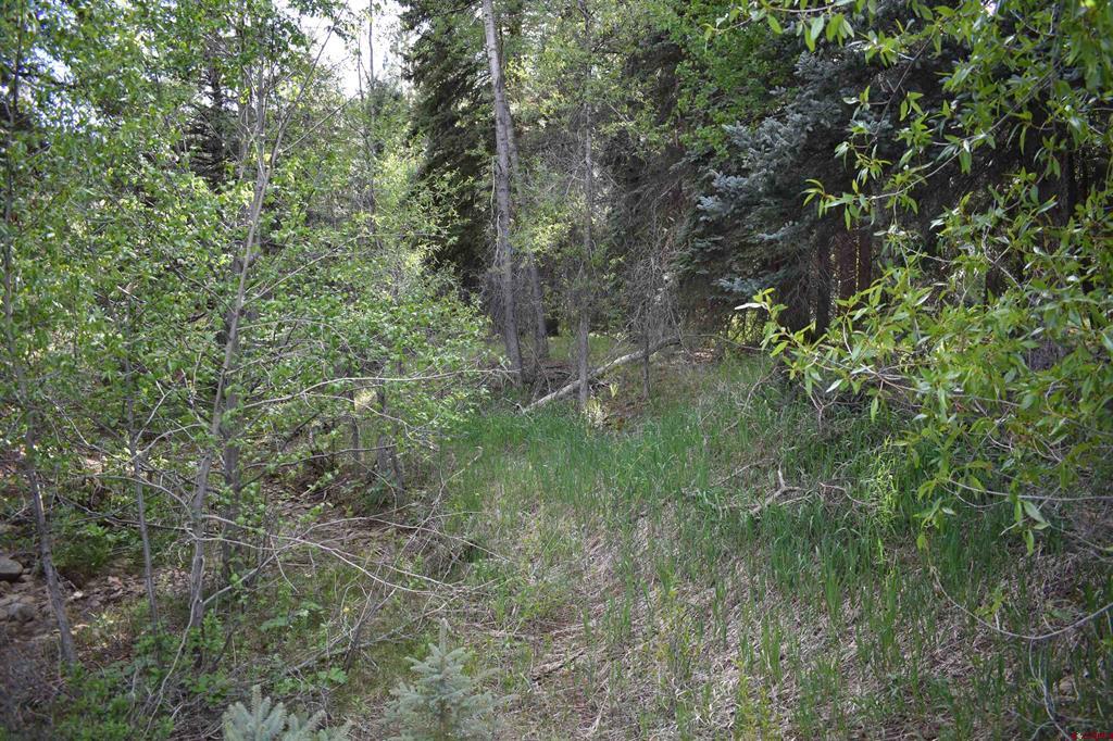 Tbd Trust Drive Vallecito Lake/bayfield CO 81122
