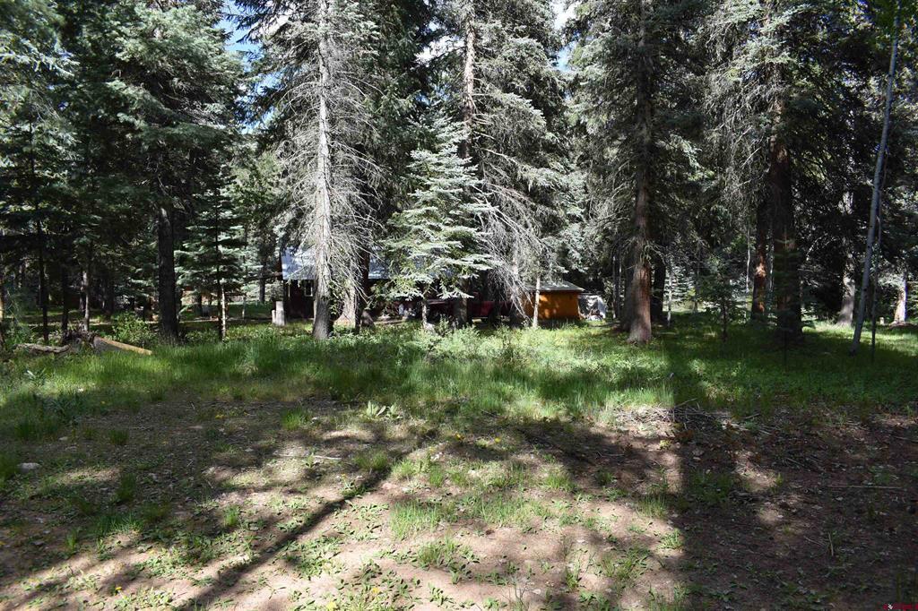 Tbd Trust Drive Vallecito Lake/bayfield CO 81122