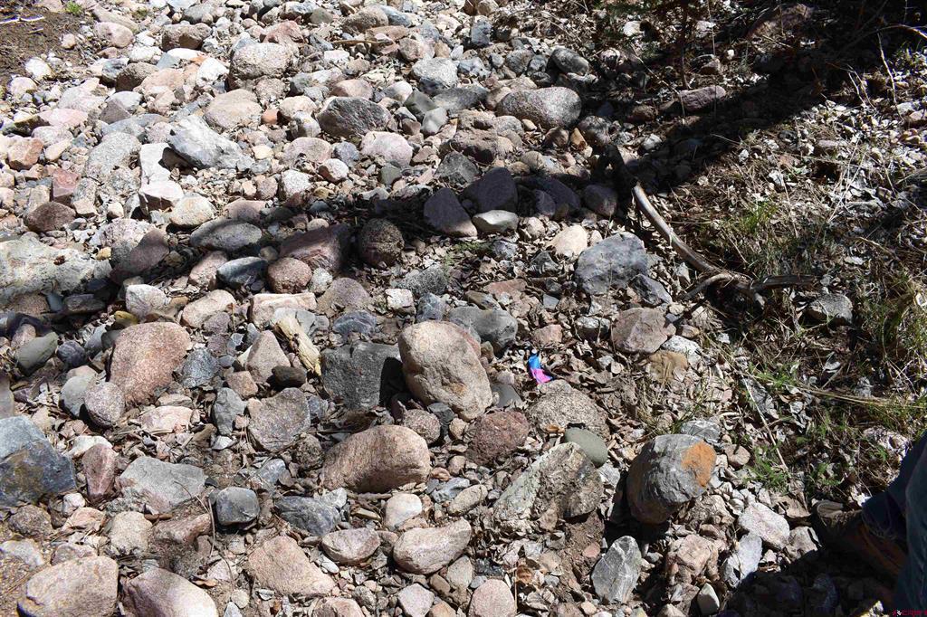 Tbd Trust Drive Vallecito Lake/bayfield CO 81122