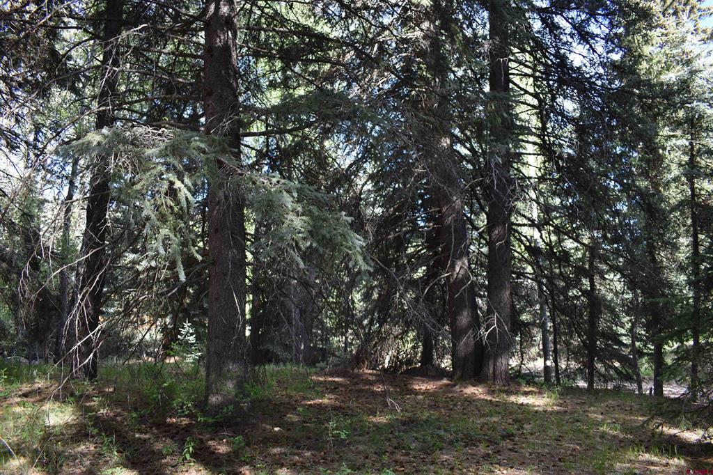 Tbd Trust Drive Vallecito Lake/bayfield CO 81122