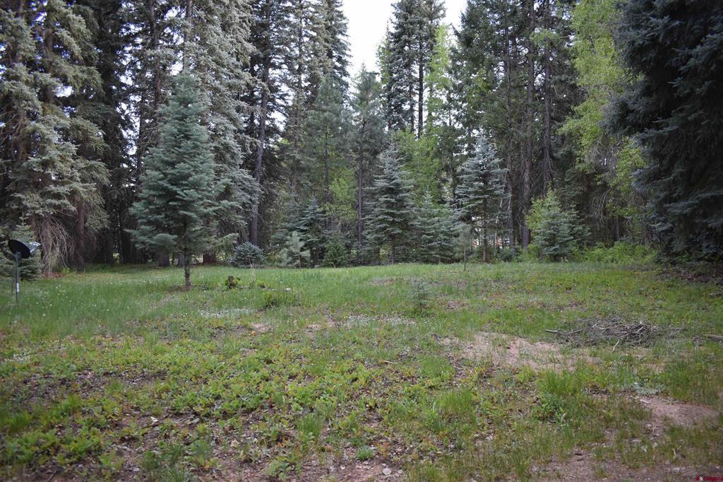 Tbd Trust Drive Vallecito Lake/bayfield CO 81122