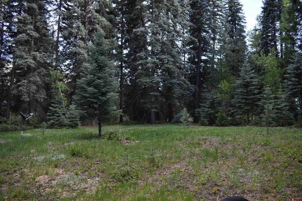Tbd Trust Drive Vallecito Lake/bayfield CO 81122